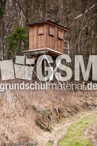 Hochstände (136 von 154).jpg